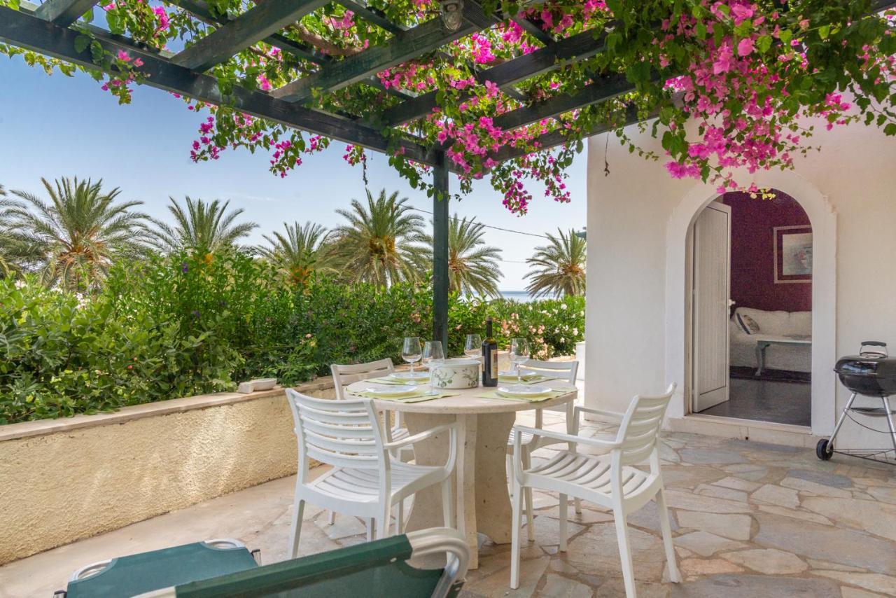 Bougainvillea House In Crete ซิเตีย ภายนอก รูปภาพ