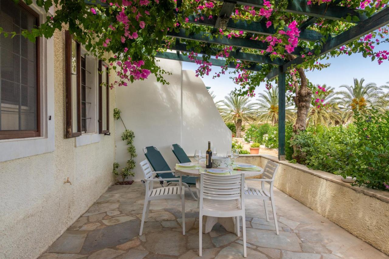 Bougainvillea House In Crete ซิเตีย ภายนอก รูปภาพ
